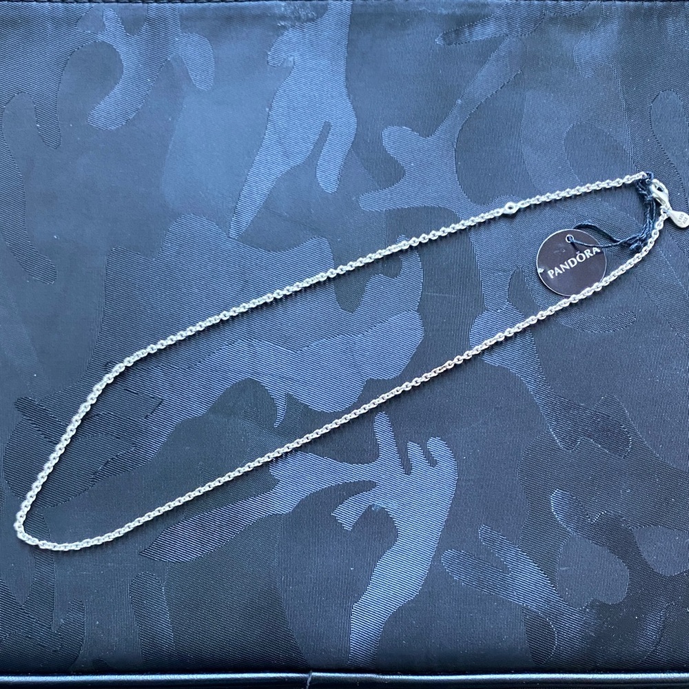 Pandora Silver Necklace
